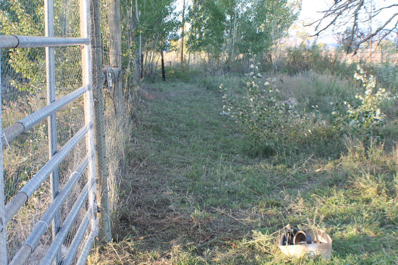 File:Fence.jpg
